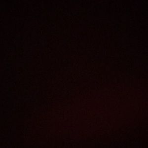 Meet your Posher, Raven